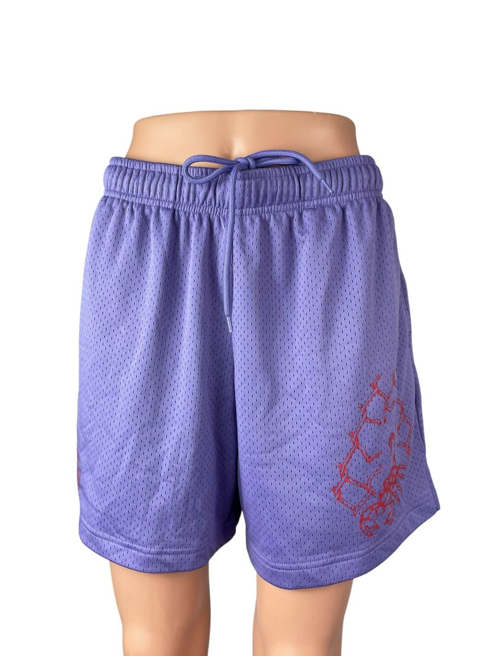 Urban Outfitters Purple Elastic Waist Athletic Activewear Basketball Shorts Sz M